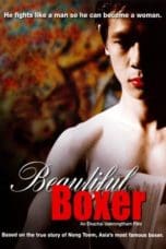 Nonton film Beautiful Boxer (2003) idlix , lk21, dutafilm, dunia21