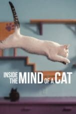 Nonton film Inside the Mind of a Cat (2022) idlix , lk21, dutafilm, dunia21