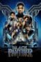 Nonton film Black Panther (2018) idlix , lk21, dutafilm, dunia21