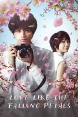 Nonton film Love Like the Falling Petals (2022) idlix , lk21, dutafilm, dunia21