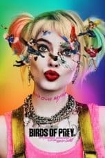 Nonton film Birds of Prey (and the Fantabulous Emancipation of One Harley Quinn) (2020) idlix , lk21, dutafilm, dunia21