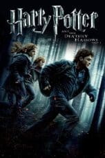 Nonton film Harry Potter and the Deathly Hallows: Part 1 (2010) idlix , lk21, dutafilm, dunia21