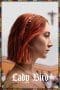 Nonton film Lady Bird (2017) idlix , lk21, dutafilm, dunia21