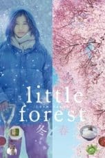 Nonton film Little Forest: Winter/Spring (2015) idlix , lk21, dutafilm, dunia21