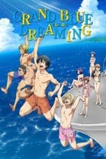 Nonton film Grand Blue (2018) idlix , lk21, dutafilm, dunia21