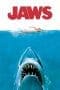 Nonton film Jaws (1975) idlix , lk21, dutafilm, dunia21