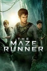 Nonton film The Maze Runner (2014) idlix , lk21, dutafilm, dunia21