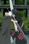 Nonton film Naruto Shippūden Season 6 Episode 134 idlix , lk21, dutafilm, dunia21