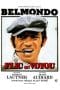 Nonton film Cop or Hood (1979) idlix , lk21, dutafilm, dunia21