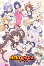 Nonton film Nekopara (2020) idlix , lk21, dutafilm, dunia21