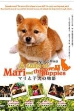 Nonton film A Tale of Mari and Three Puppies Part2 (2007) idlix , lk21, dutafilm, dunia21