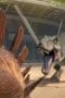 Nonton film Jurassic World: Camp Cretaceous Season 4 Episode 7 idlix , lk21, dutafilm, dunia21