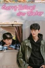 Nonton film Cherry Blossoms After Winter (2022) idlix , lk21, dutafilm, dunia21