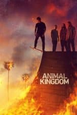 Nonton film Animal Kingdom (2016) idlix , lk21, dutafilm, dunia21