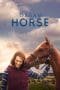 Nonton film Dream Horse (2021) idlix , lk21, dutafilm, dunia21