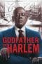 Nonton film Godfather of Harlem Season 2 (2021) idlix , lk21, dutafilm, dunia21