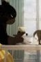 Nonton film The Masterful Cat Is Depressed Again Today Season 1 Episode 5 idlix , lk21, dutafilm, dunia21