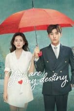 Nonton film You Are My Destiny (2020) idlix , lk21, dutafilm, dunia21