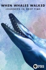 Nonton film When Whales Walked: Journeys in Deep Time (2019) idlix , lk21, dutafilm, dunia21