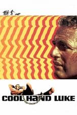 Nonton film Cool Hand Luke (1967) idlix , lk21, dutafilm, dunia21