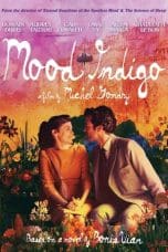 Nonton film Mood Indigo (2013) idlix , lk21, dutafilm, dunia21