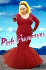 Nonton film Pink Flamingos (1972) idlix , lk21, dutafilm, dunia21