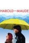 Nonton film Harold and Maude (1971) idlix , lk21, dutafilm, dunia21