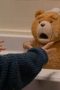 Nonton film ted Season 1 Episode 4 idlix , lk21, dutafilm, dunia21