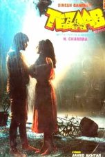 Nonton film Tezaab (1988) idlix , lk21, dutafilm, dunia21