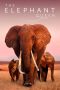 Nonton film The Elephant Queen (2019) idlix , lk21, dutafilm, dunia21