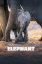 Nonton film Elephant (2020) idlix , lk21, dutafilm, dunia21