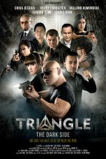 Nonton film Triangle: The Dark Side (2016) idlix , lk21, dutafilm, dunia21