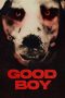 Nonton film Good Boy (2022) idlix , lk21, dutafilm, dunia21