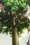 Nonton film Rokka: Braves of the Six Flowers Season 1 Episode 2 idlix , lk21, dutafilm, dunia21