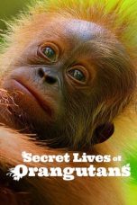 Nonton film Secret Lives of Orangutans (2024) idlix , lk21, dutafilm, dunia21