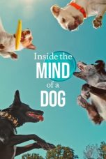 Nonton film Inside the Mind of a Dog (2024) idlix , lk21, dutafilm, dunia21