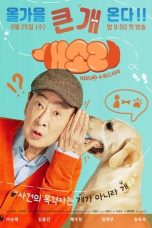 Nonton film Dog Knows Everything (2024) idlix , lk21, dutafilm, dunia21