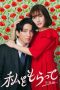 Nonton film Watashi wo Moratte Season 2 (Take Me) (2024) idlix , lk21, dutafilm, dunia21